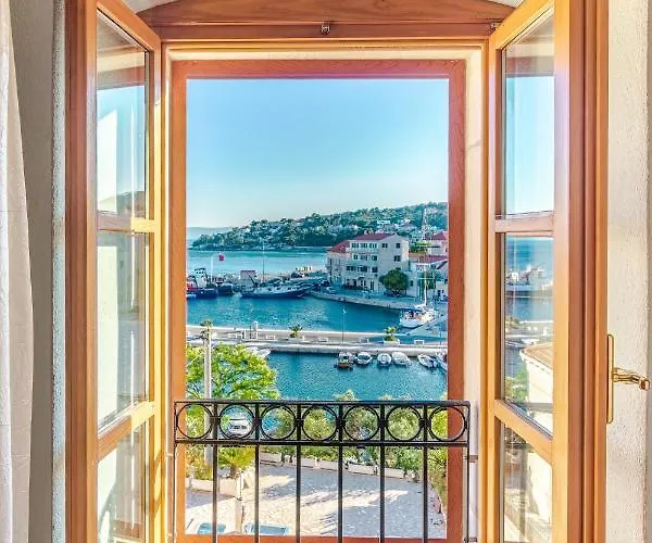 Laurus Brac Sumartin