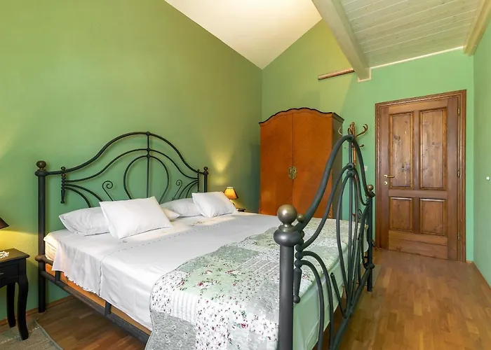 Laurus Brac * Sumartin